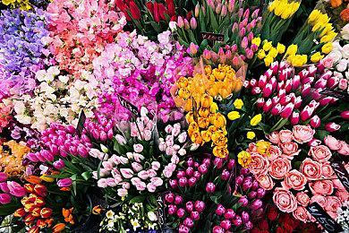 合作肉鸽《33 Immortals》3月18日推出抢先体验