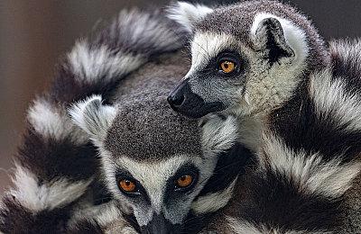 再战war3二十年庆典开启！玩经典对战赢刮刮乐365连抽