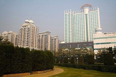 《集合啦！动物森友会》最新更新上线 修复多处问题