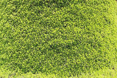 官方终于动刀！《战地6》在线热修 霰弹枪遭全面削弱